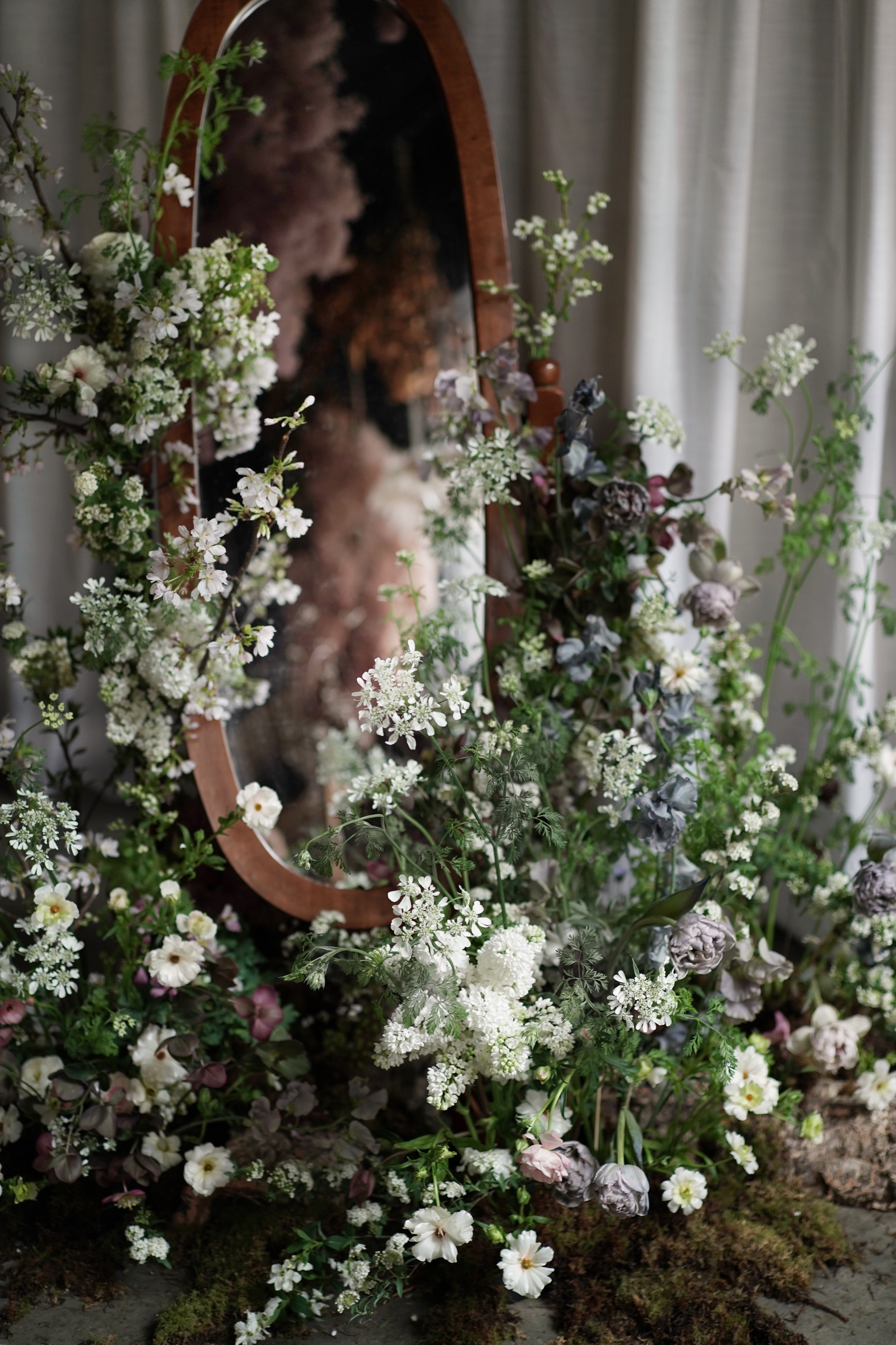 DAISYZOOM BOTANIC_B.JPG