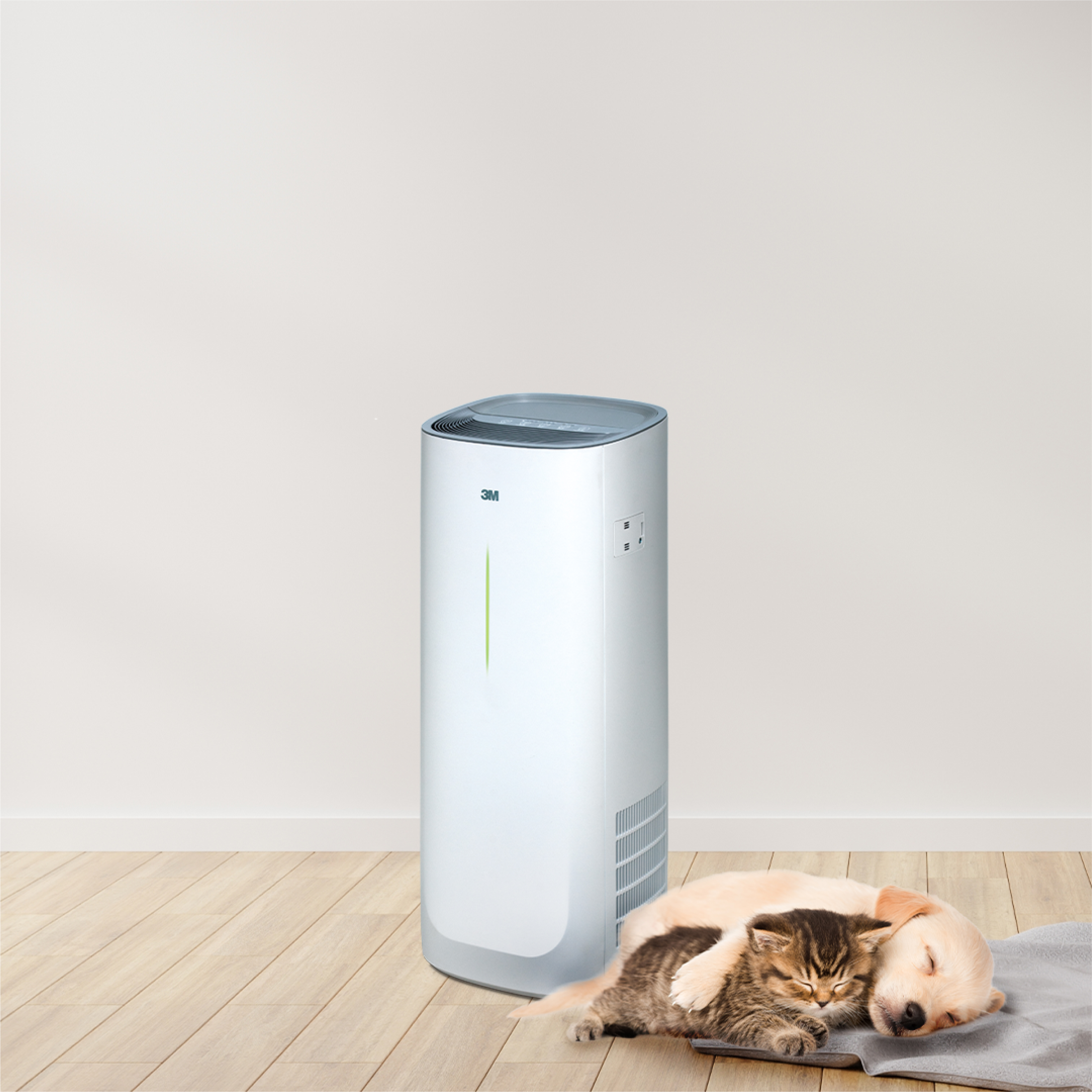 Video 2_v3_board 5.jpg