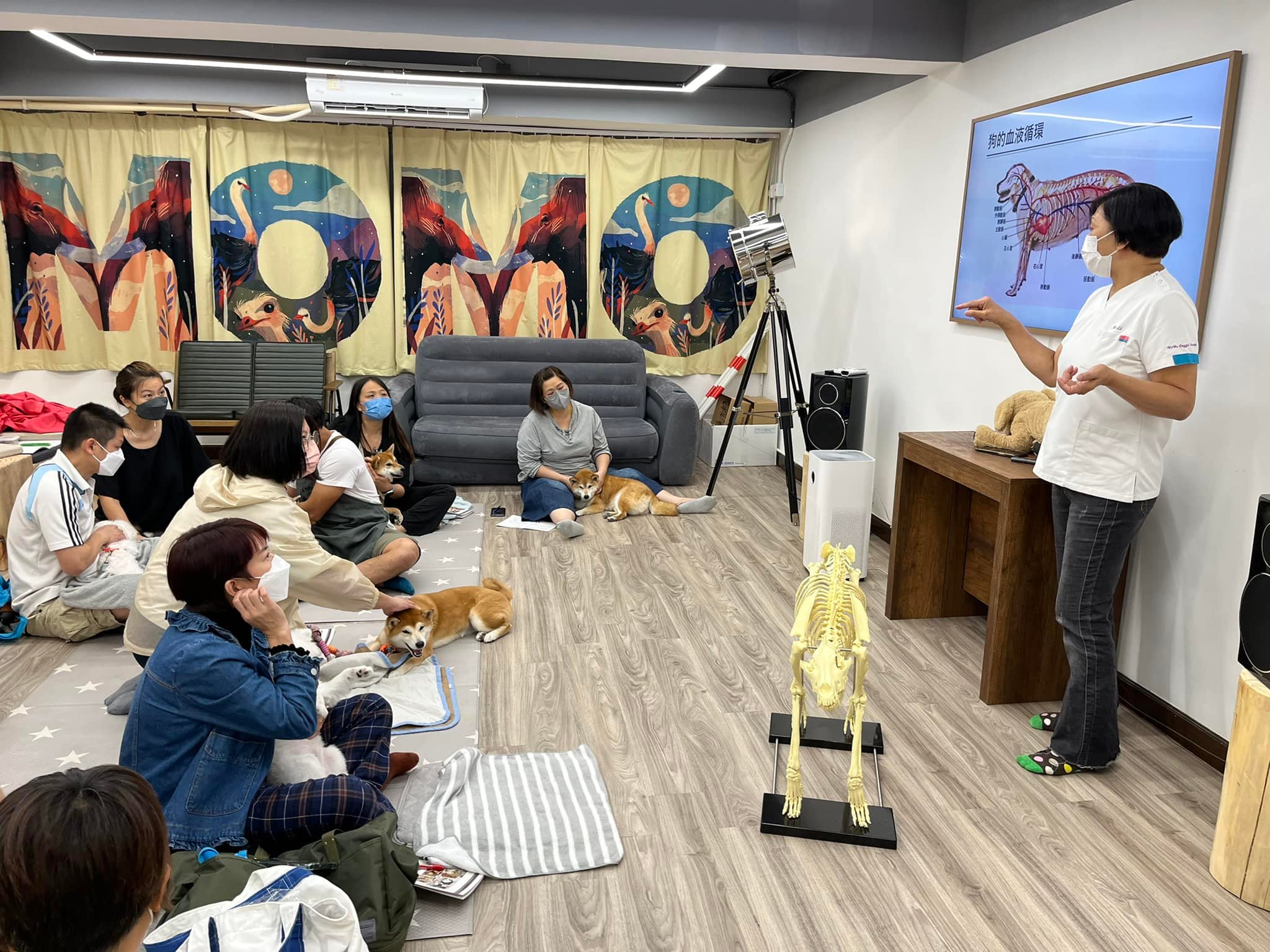 新都會廣場_人寵身心靈工作坊_寵物按摩教學 (4).jpg