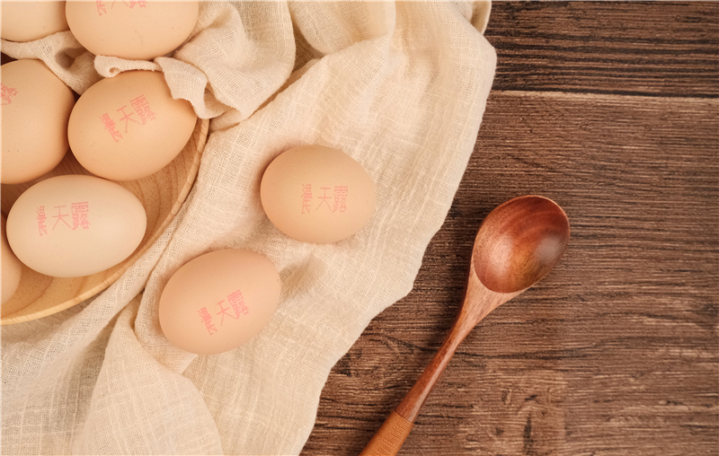 温氏蛋业.jpg