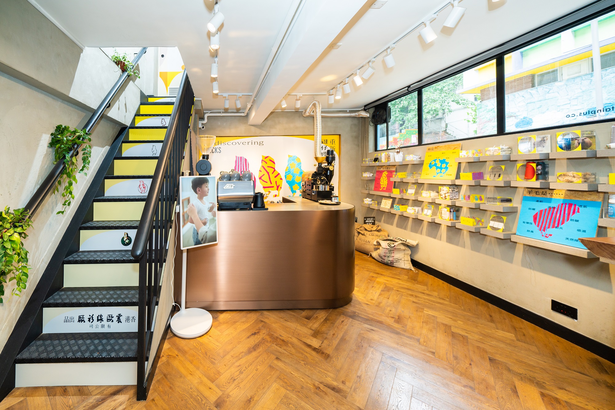 Chicks_main wall & display wall.jpg