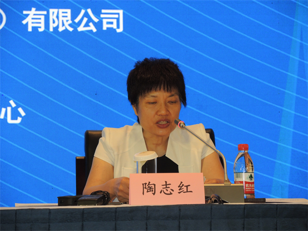 图片3：北京市规划和自然资源委员会二级巡视员陶志红介绍组织勘察设计企业参展情况.JPG