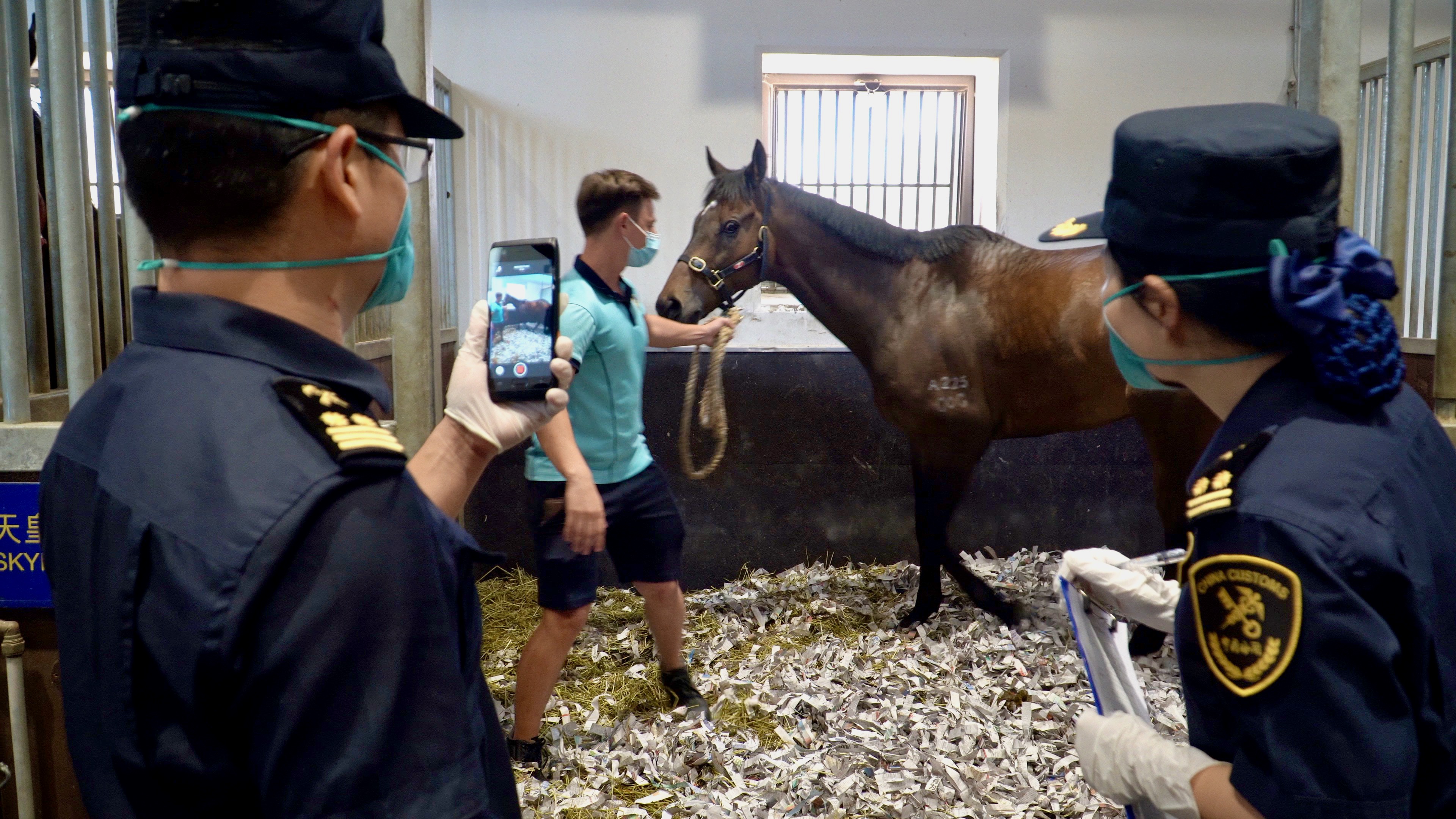 2、海關駐馬場辦事處關員對粵港跨境賽馬進行監管.jpg