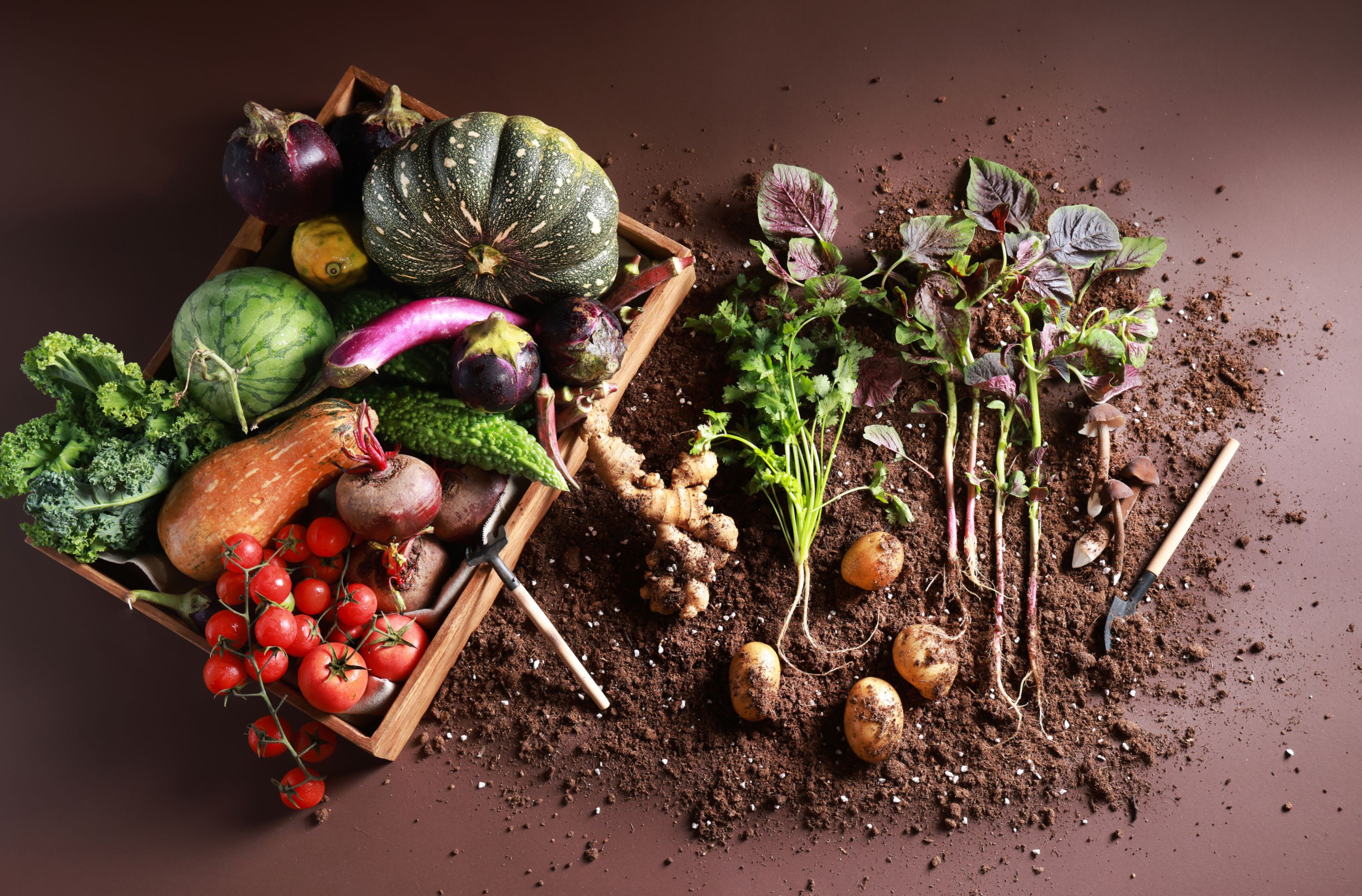 Urban Produce_1_1mb.jpg