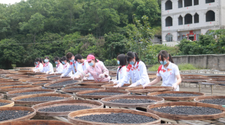 1、楊梅中學學生到楊梅三德豆豉生產基地進行勞動實踐.png