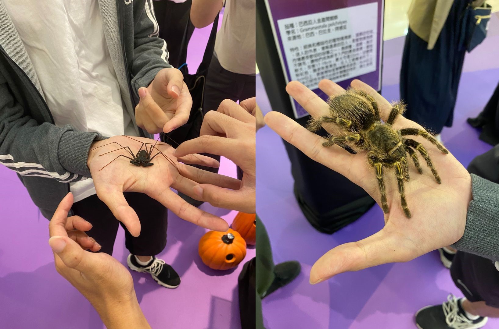 未命名設計 (21).jpg