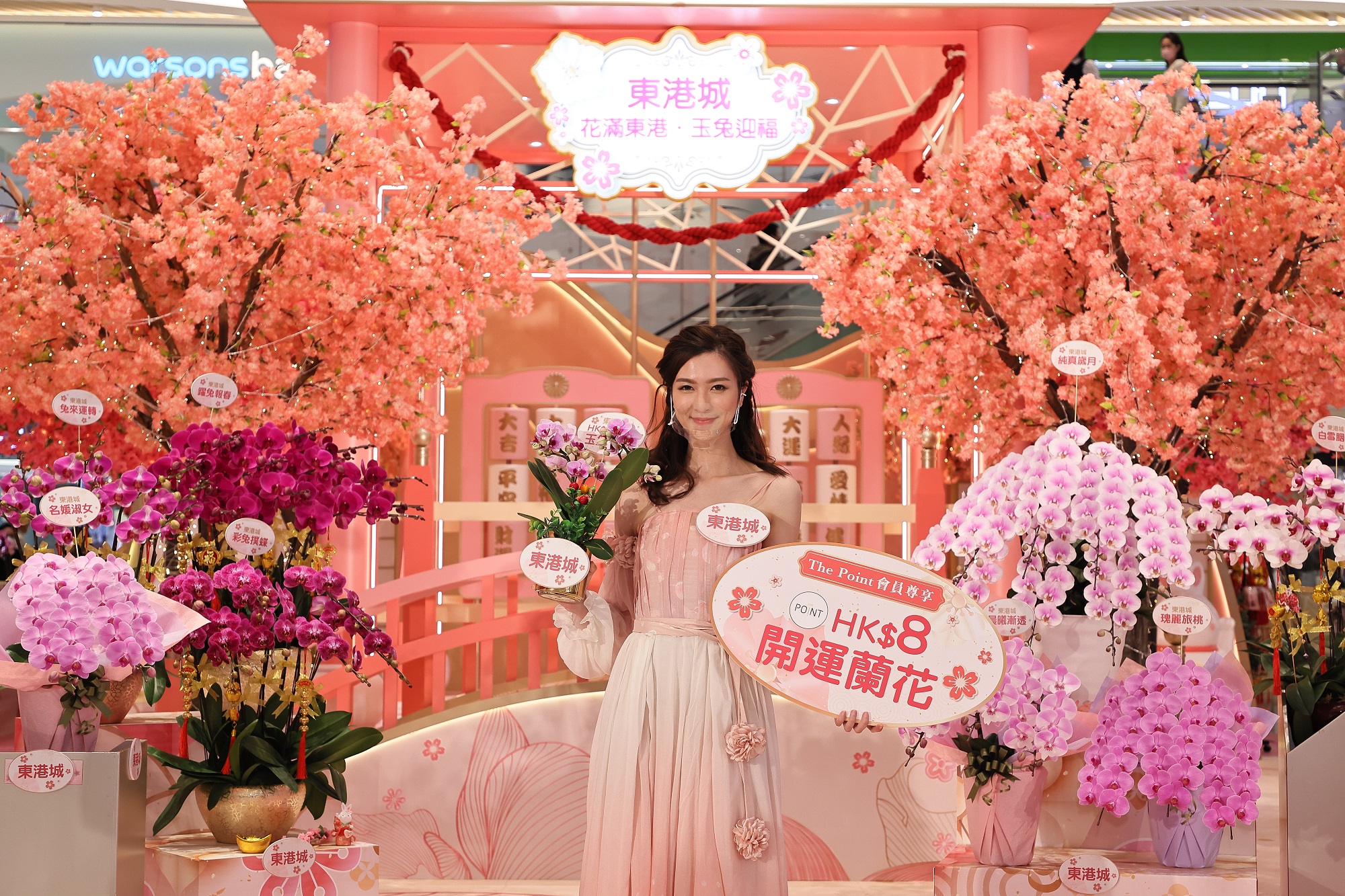 今年東港城「花滿東港．玉兔迎福」新春花展會繼續推出HK$8開運蘭吸引市民搶購，進一步帶動商場人流。 (1).JPG