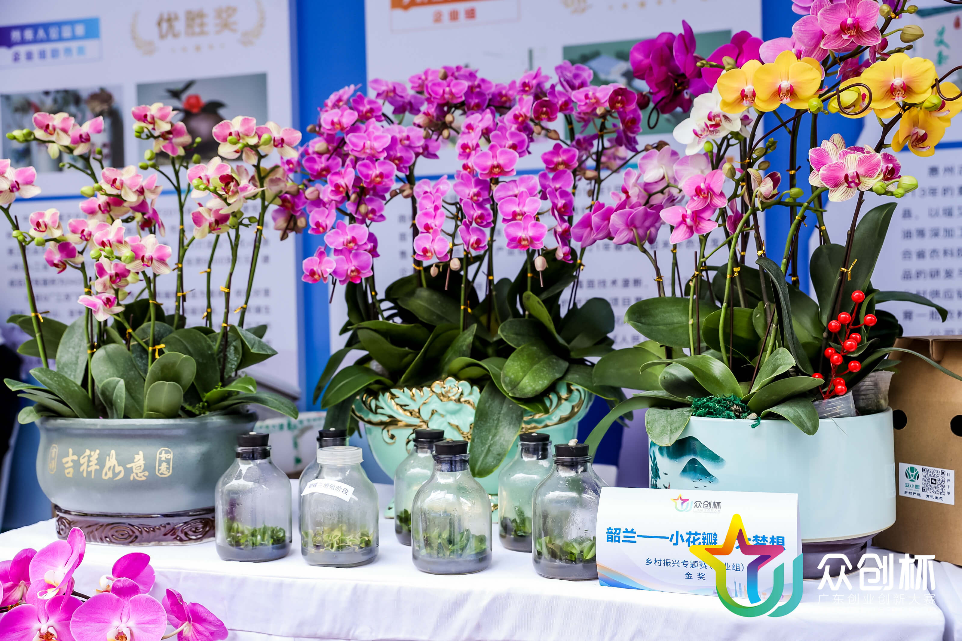 2、鄉村振興專題賽金獎(主辦方供圖).jpeg