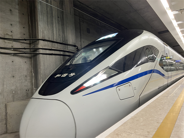 图5:开往西九龙口岸的列车(陈彦洁 摄).jpg