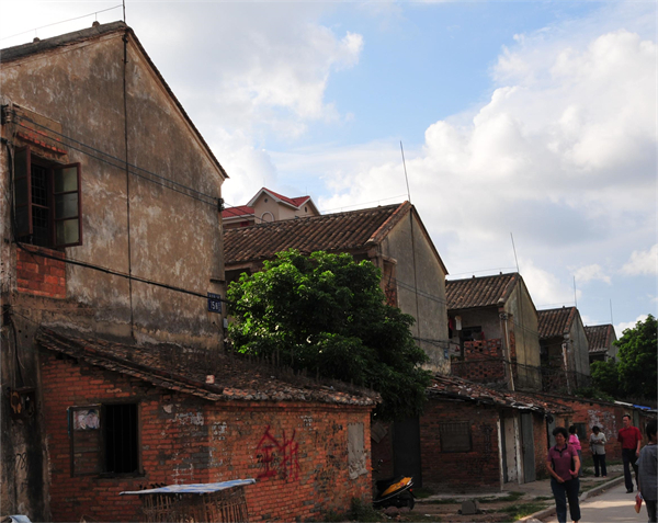 3、茂名“六百戶” 黃信濤攝.JPG