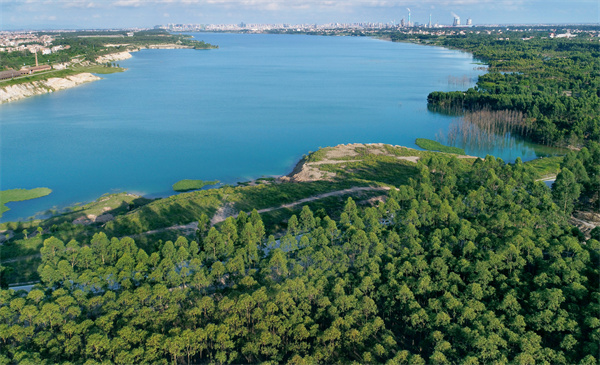 5、露天礦生態公園 茂宣供圖.jpg
