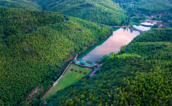 9、宜興竹海——華東第一竹海 .jpg