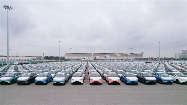 在廣州南沙口岸即將出口的國產新能源汽車.jpg
