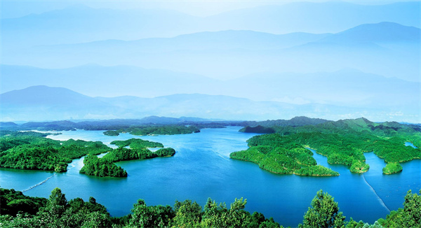 圖五 - 復件(1).jpg