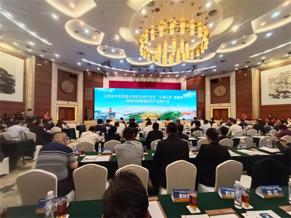 图一 推介会现场.jpg