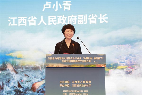 图二 江西省副省长卢小青致辞.jpg