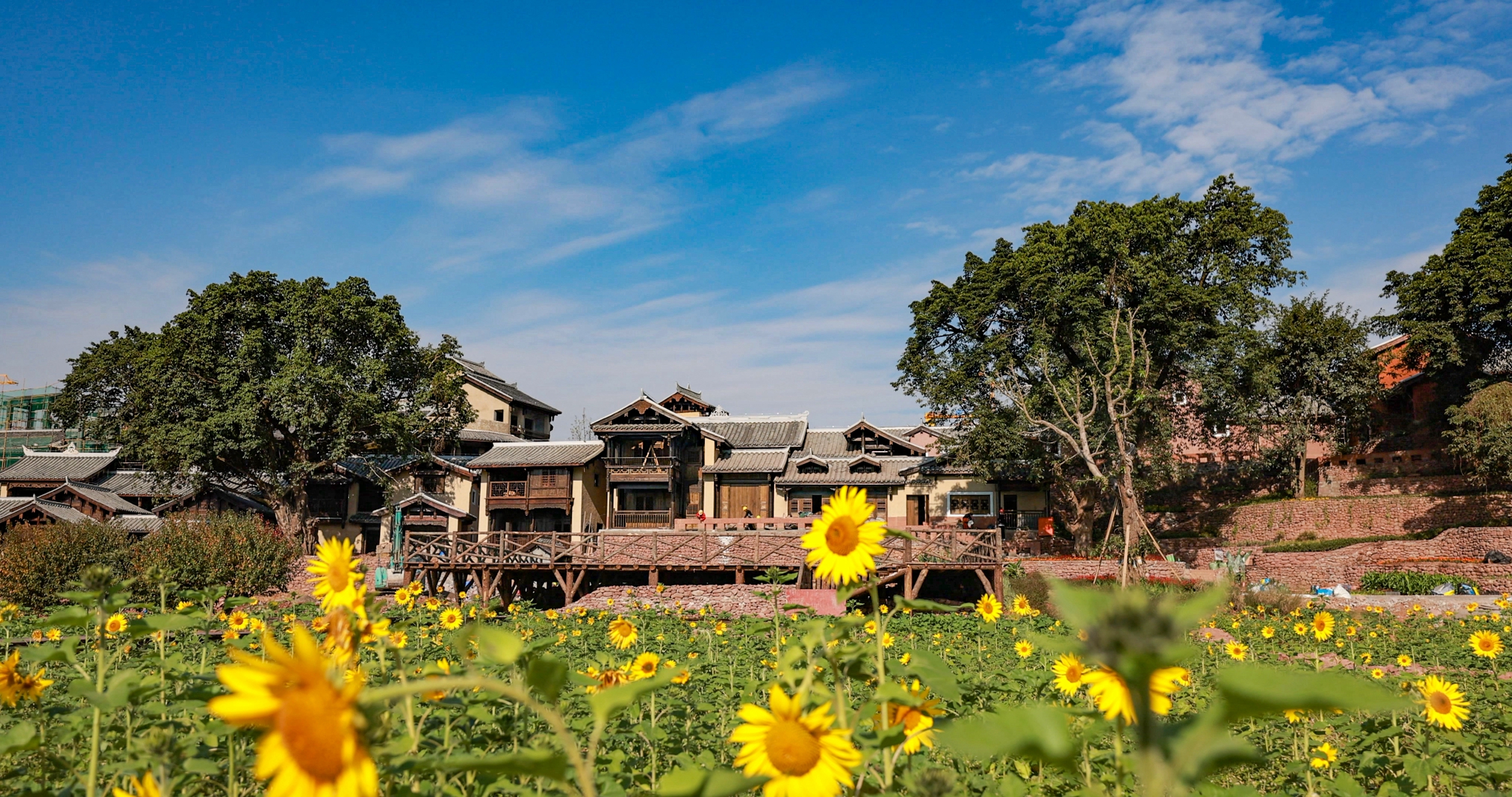 圖片二 - 復件(2).jpg