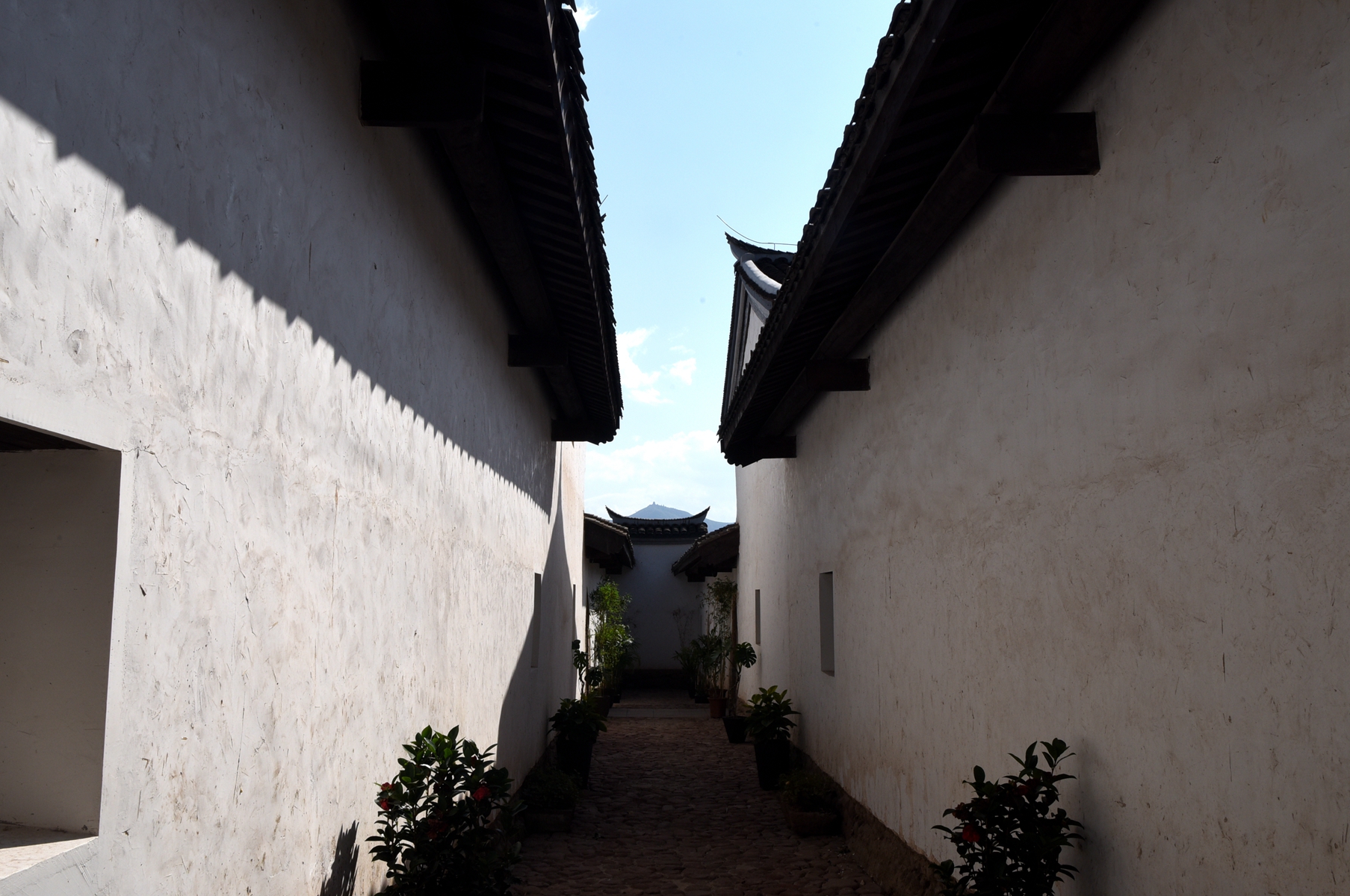 圖片四 - 復件(2).jpg