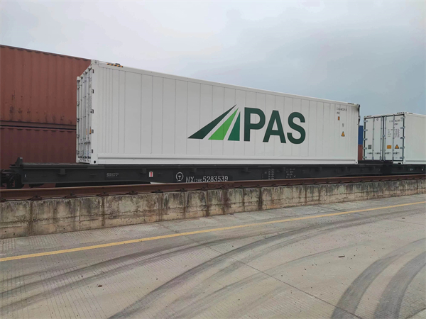 2、首趟經過中老（泰）鐵路返程的45113次國際冷藏貨運班列順利抵達增城西鐵路貨場。 （通訊員供圖）.jpg