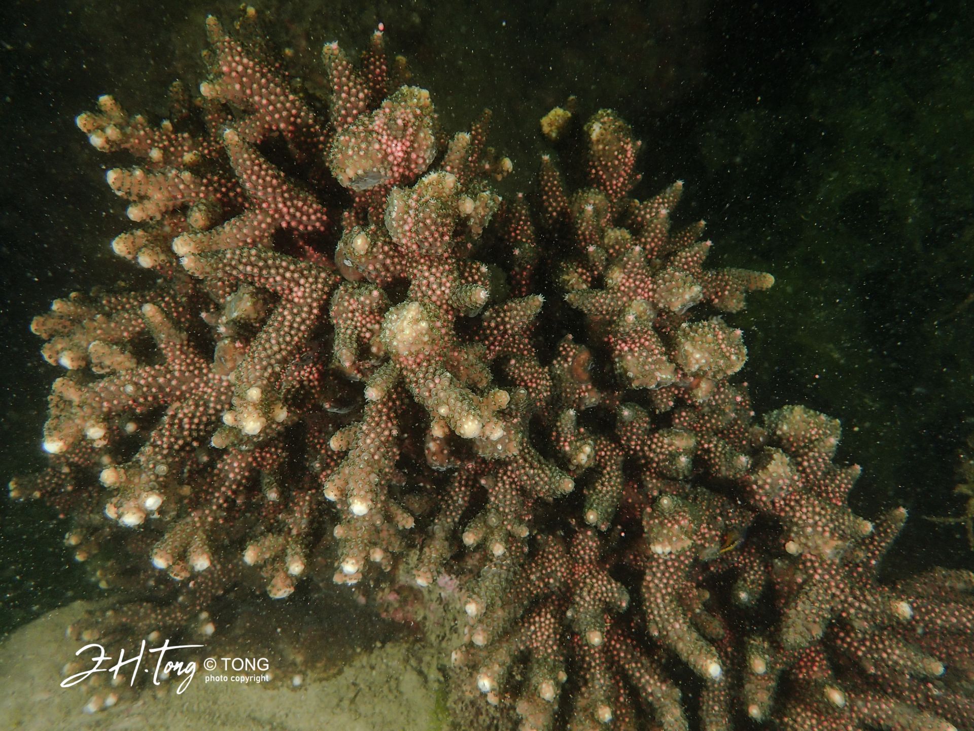 cd16b68aebbba3bc9c96e0cd6fc23917 (1).jpeg