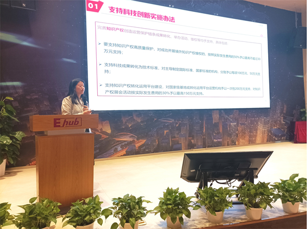 圖片2 工匠創新創始人 廖芳分享《粵港澳大灣區青年創業資助計劃政策實踐分享》.jpg