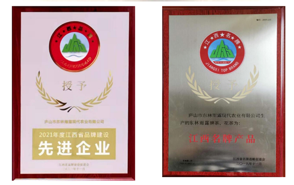 图四 东林雨露屡获殊荣.jpg