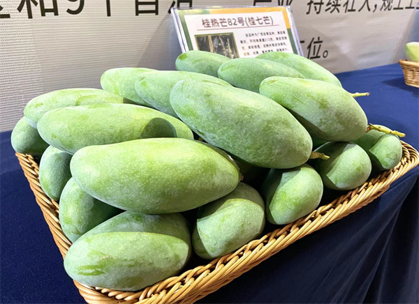 2、.jpg