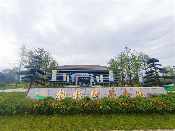 图四 遂川狗牯脑茶香园.jpg