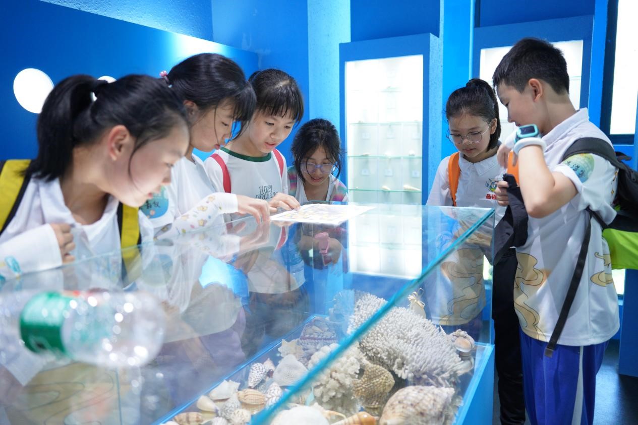 小朋友在海洋展馆普及海洋贝壳种类.jpg