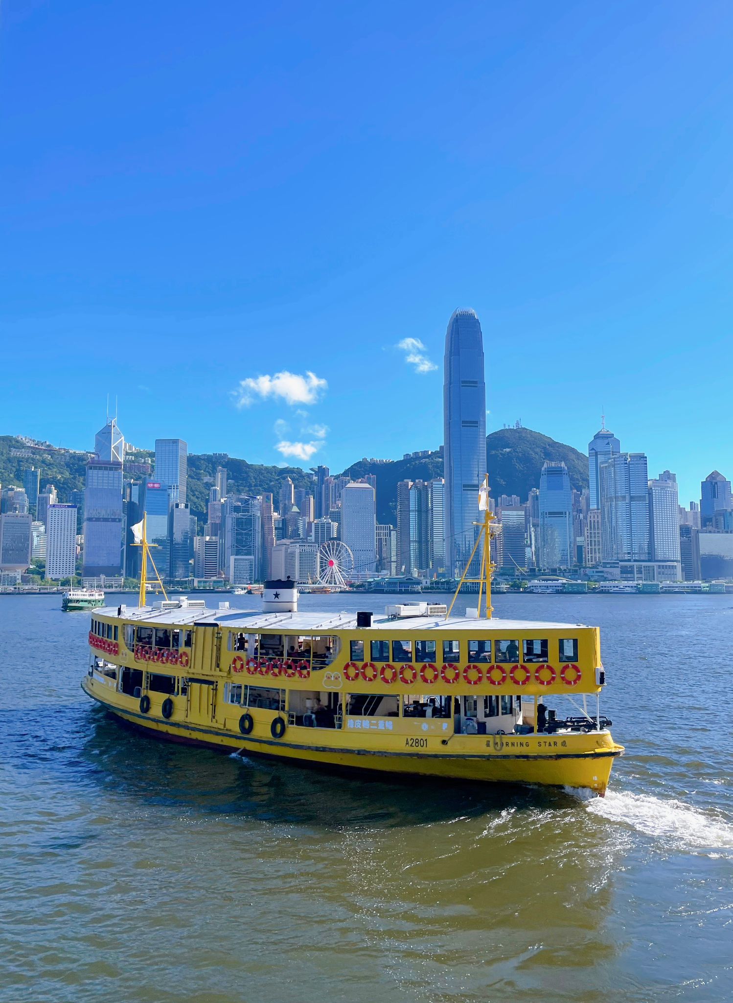 黃鴨天星小輪.jpg