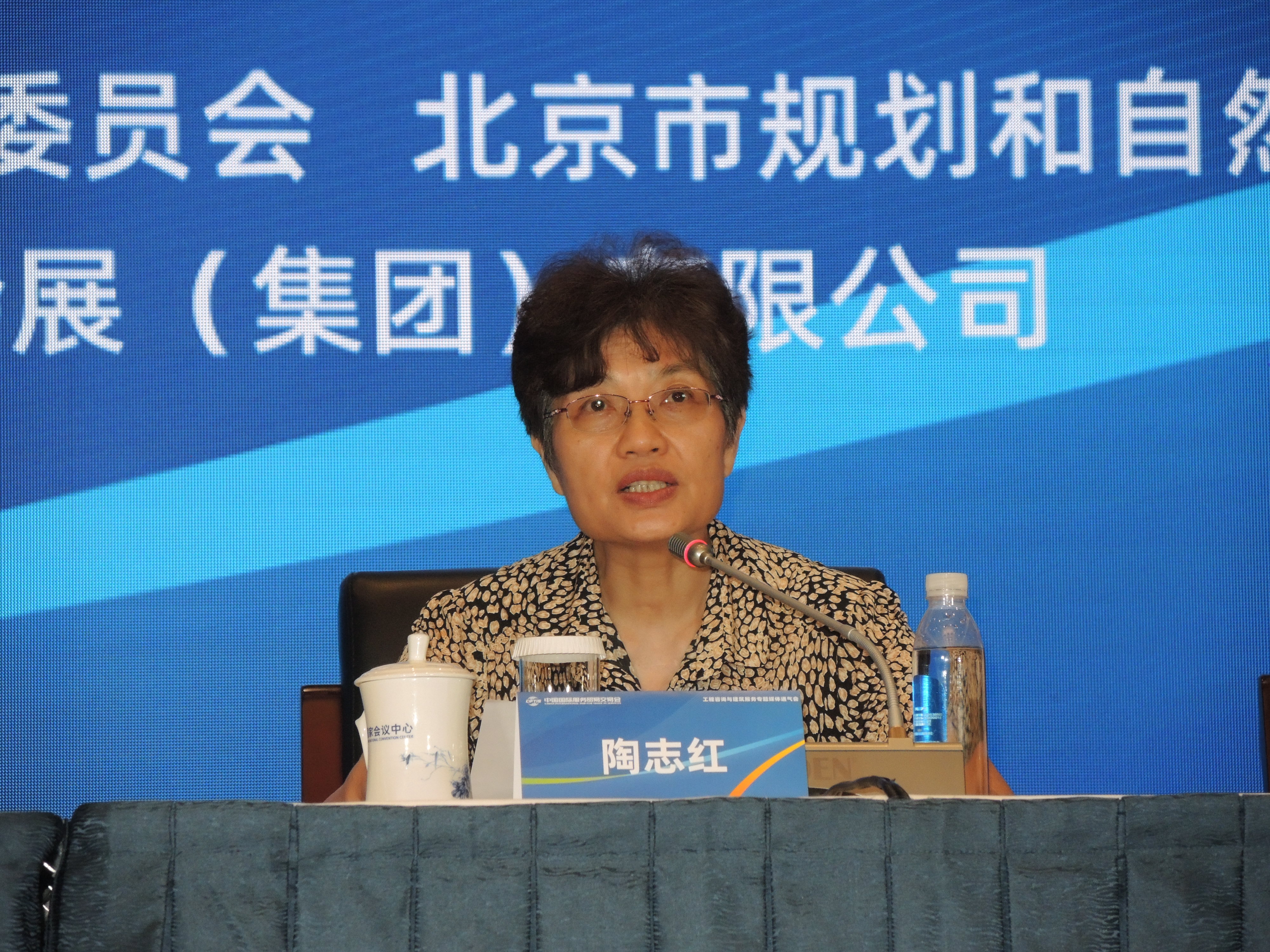 图片3 北京市规划和自然资源委员会二级巡视员陶志红发言.JPG