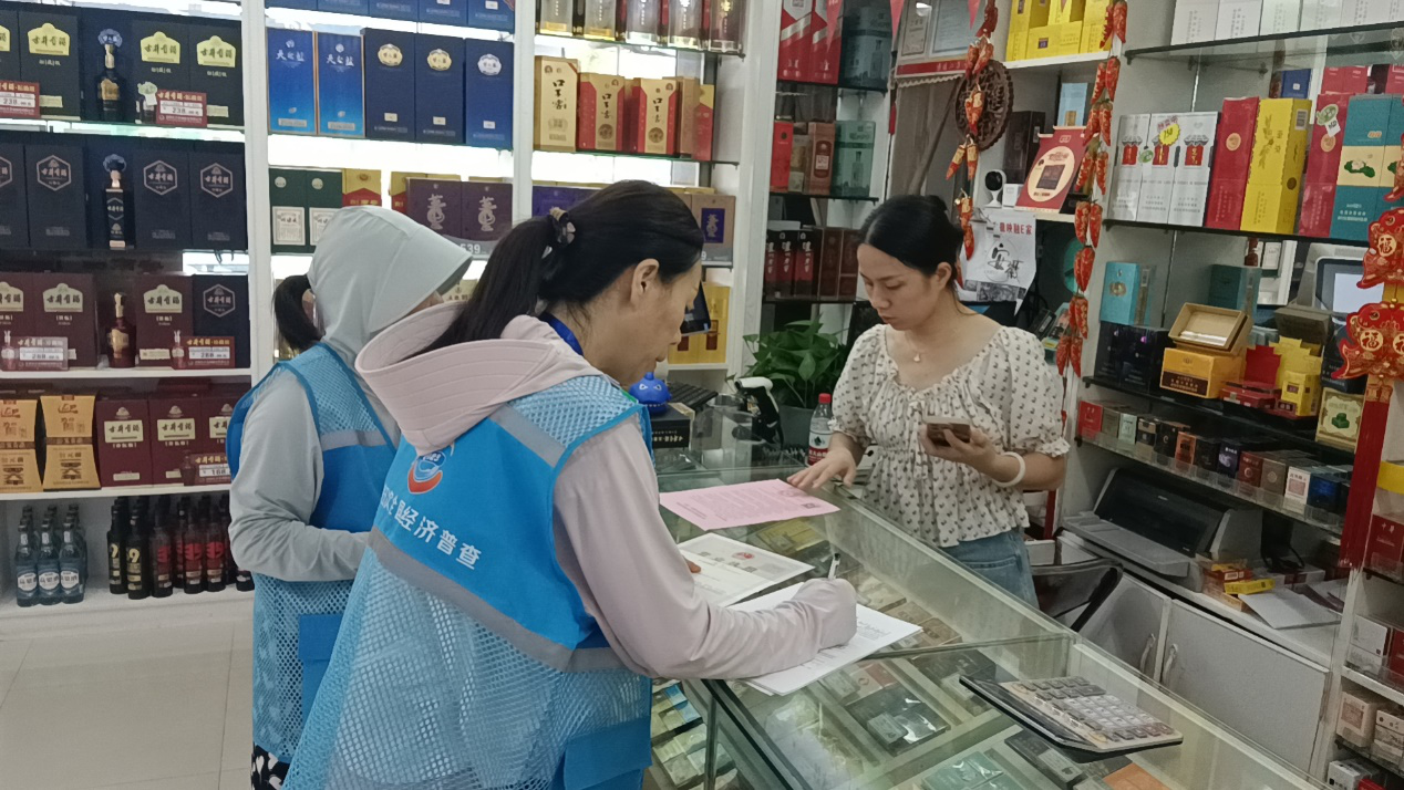 2.安徽巢湖：社區在職黨員來報到 助力經濟普查加速度.png