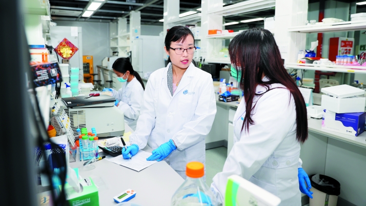 p31深圳湾实验室 (2)_副本.jpg