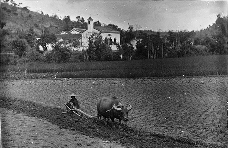 耕田 樟坑径 巴色会档案馆（主讲嘉宾供图）.jpg