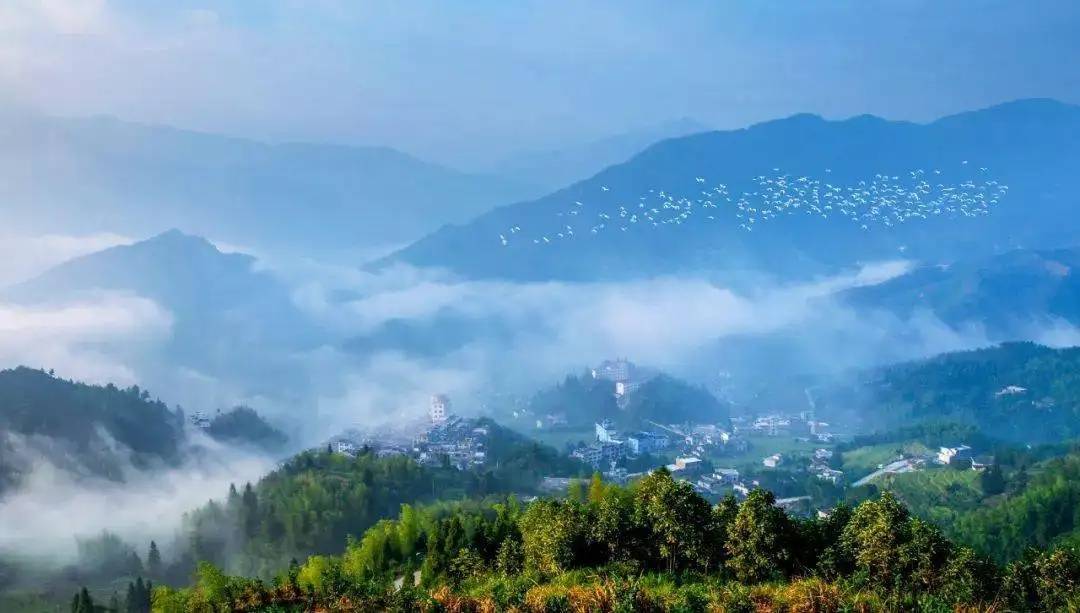 图1 遂川营盘圩“千年鸟道”(1).jpg