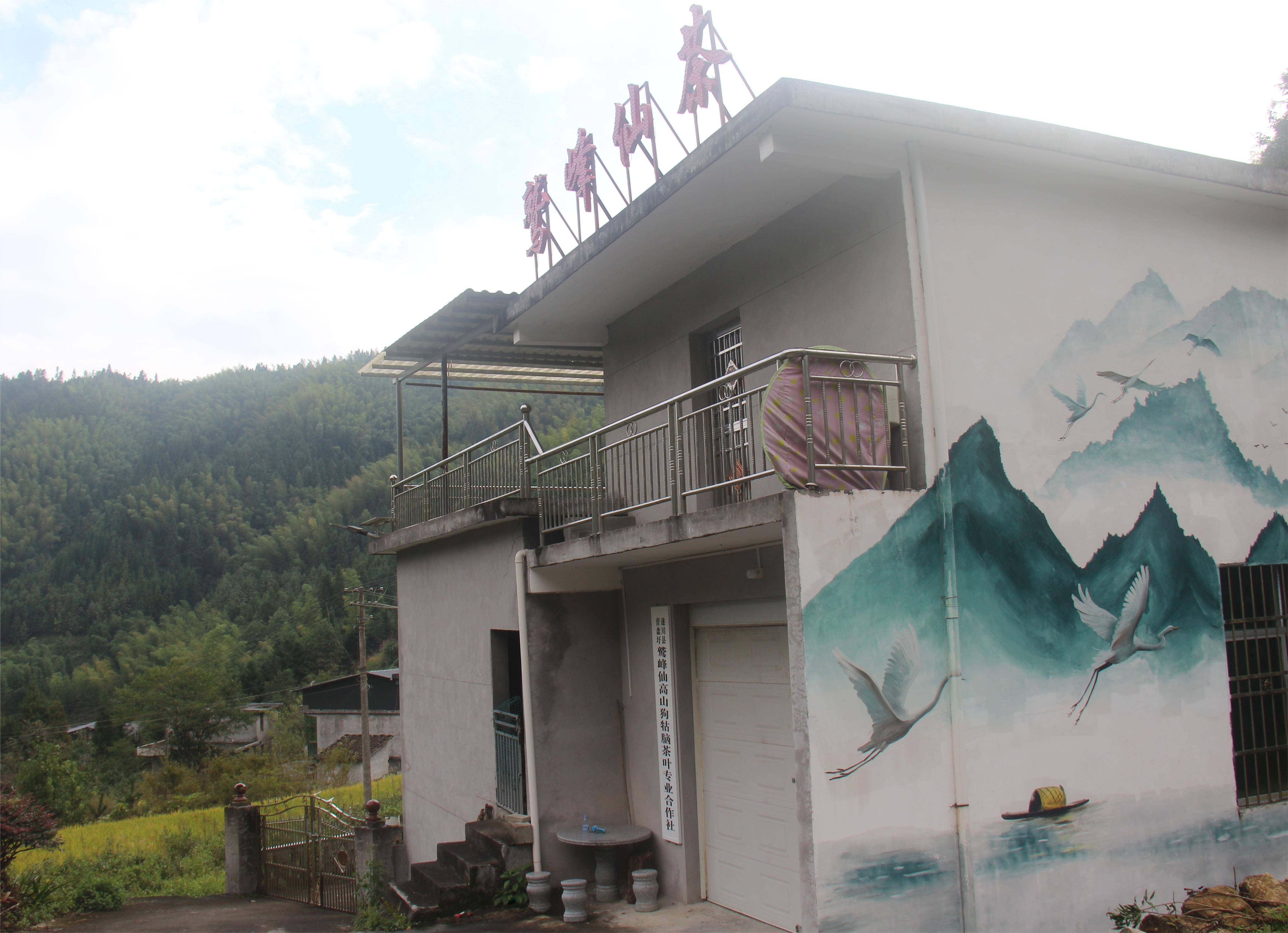 图4 陈云生家的鹫峰仙茶茶厂(1).jpg