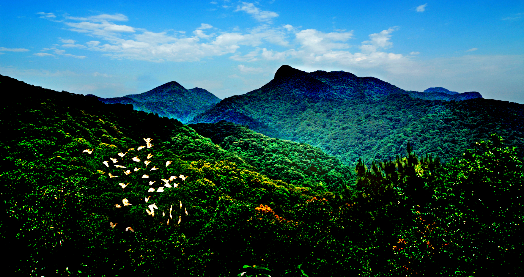 图2、王子山森林公园是省级森林公园，花都区新八景之一，位于花都区北部、花都与清远市交界处，是广州地区内难得一见的“世外桃源”。 (2).png