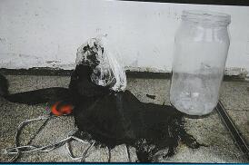 炸彈一旦引爆可波及百米 警譴責暴徒罔顧市民安全