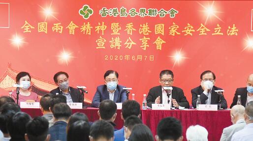 港區人代政協批黑暴肆虐 國安立法可痛擊恐怖主義
