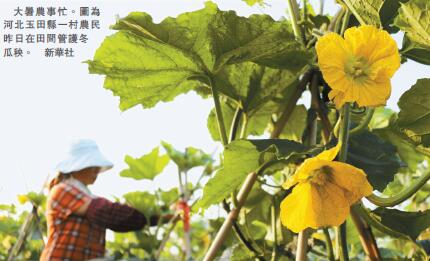 最高法發文保護土地承包經營權 專家稱嚴肅維護農民權益