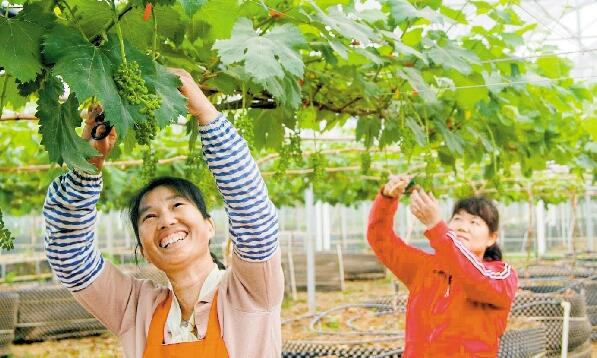 韶關扶貧資產管理獲佳績