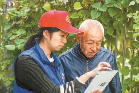  內地人口普查啟動首次電子化採集