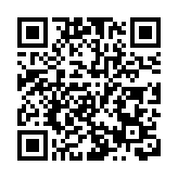 交易所技術問題 德國DAX指數暫停交易