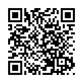 端午節食糭指南