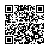 图集 | 法兰克福：向日葵盛开