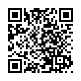 法国总统马克龙会见王毅
