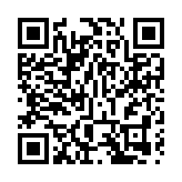 中国代表呼吁国际社会推进巴以和平进程