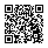 內蒙古搶奪方向盤女子被判有期徒刑3年