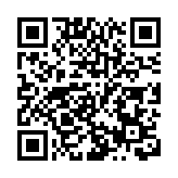 荷蘭海牙購物街發生持刀傷人事件和火災致3人受傷 一名嫌犯被捕