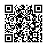 美墨邊境附近車禍致13人死 事故車輛系非法越境